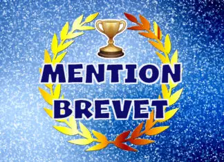 Mention brevet des collèges