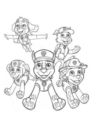 coloriage paw patrol