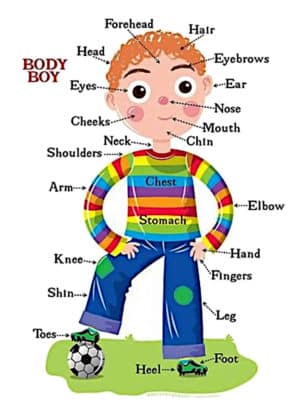 apprendre anglais enfant