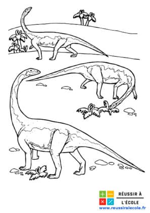 coloriage dinosaure gratuit