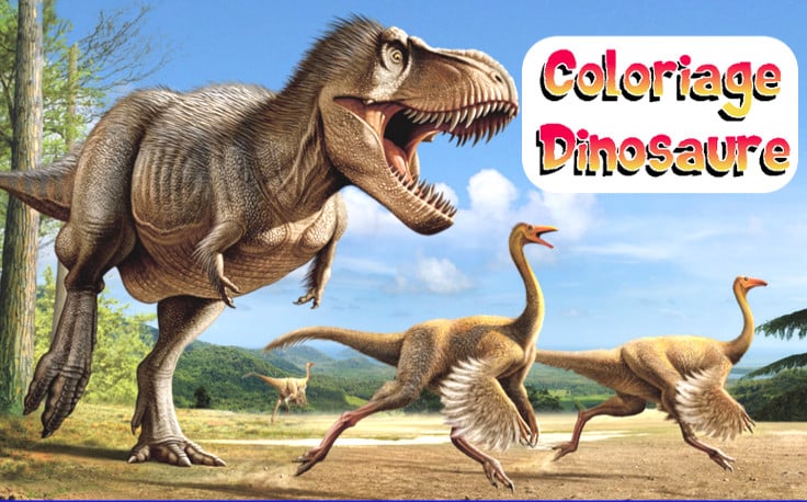 Grand livre de coloriage dinosaure enfant: 55 merveilleux dessins