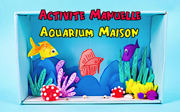 Activité Manuelle Primaire  comment créer un aquarium en carton ?