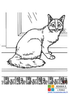 coloriage chat a imprimer