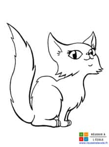 coloriage chaton