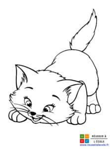 coloriage chaton