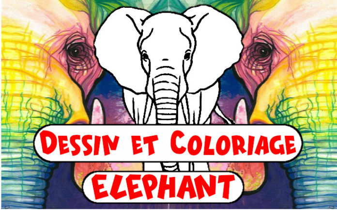 dessin elephant