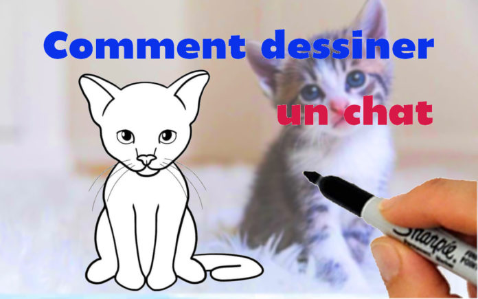 comment dessiner un chat