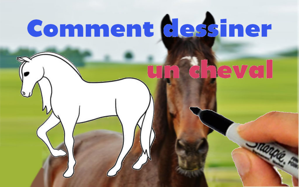 How-To-Draw-Horses  Dessin cheval facile, Comment dessiner un