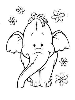 dessin elephant rigolo