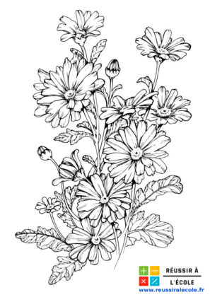 coloriage fleur