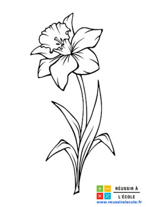 coloriage fleur