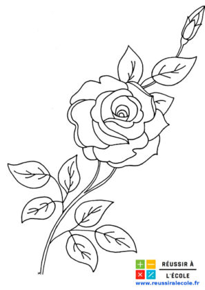 coloriage fleurs