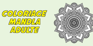 coloriage mandala adulte