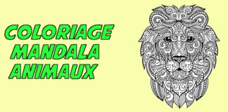 coloriage mandala animaux