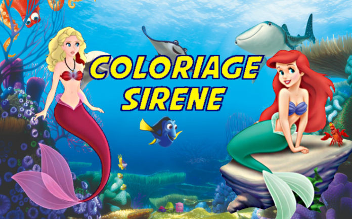 coloriage sirene