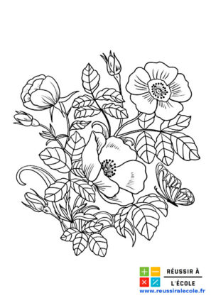 dessin bouquet de fleurs