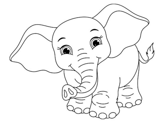 dessin elephant