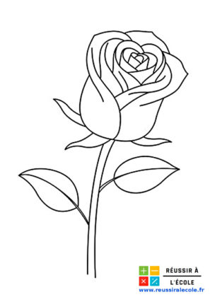 coloriage fleurs