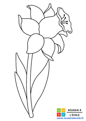 dessin fleur facile