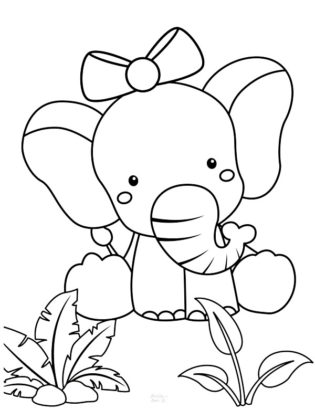 elephant dessin