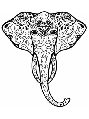 elephant dessin