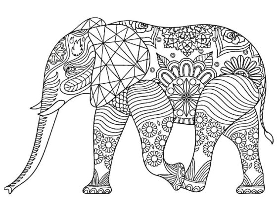 elephant dessin