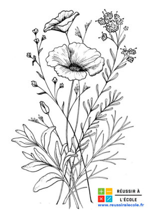 coloriage de fleurs