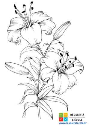 dessin bouquet de fleurs