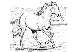 cheval coloriage