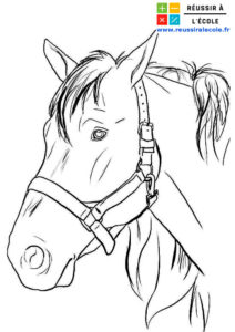 cheval coloriage