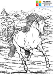 cheval coloriage