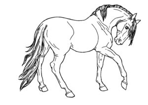 cheval coloriage