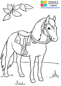 coloriage barbie cheval