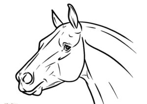 coloriages chevaux