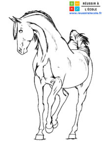 coloriage cheval