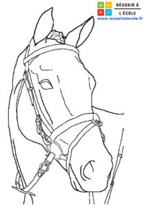 coloriage cheval