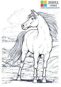 coloriage cheval