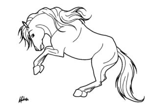 coloriage cheval qui saute