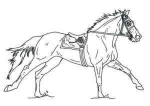 coloriage de cheval