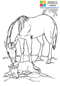 coloriages chevaux