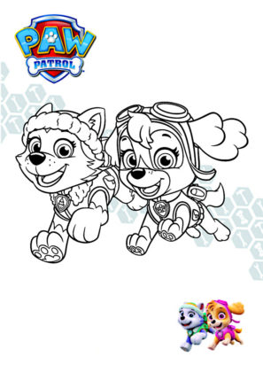 coloriage paw patrol