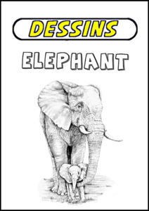 dessin elephant