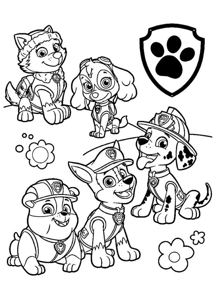 Pat Patrouille Dessin A Imprimer Gratuit