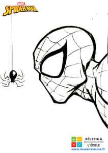 dessin spider-man