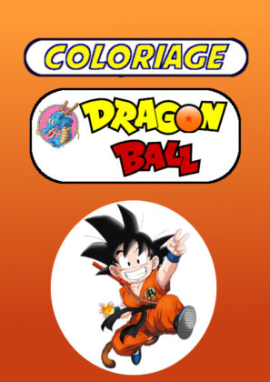 Coloriage Dragon Ball  27 supers dessins à imprimer gratuitement