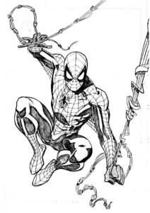 spiderman dessin
