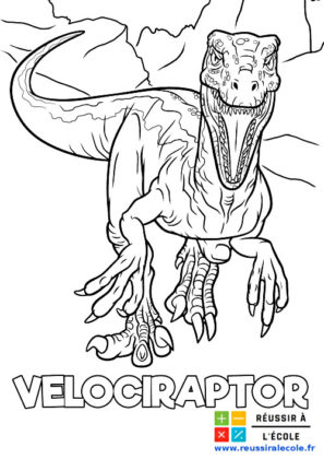 velociraptor dessin