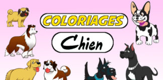 coloriage chien