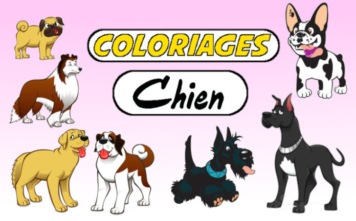 coloriage chien