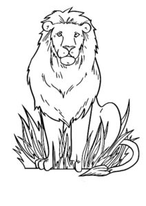 coloriage de lion
